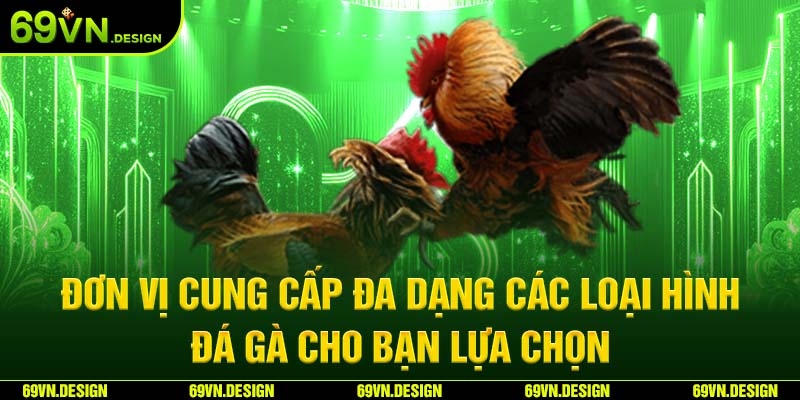 Đá gà 69VN và những kinh nghiệm để trở thành cao thủ 4 Đơn vị cung cấp đa dạng các loại hình đá gà cho bạn lựa chọn