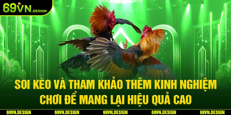 Đá gà 69VN và những kinh nghiệm để trở thành cao thủ 6 Soi kèo và tham khảo thêm kinh nghiệm chơi để mang lại hiệu quả cao